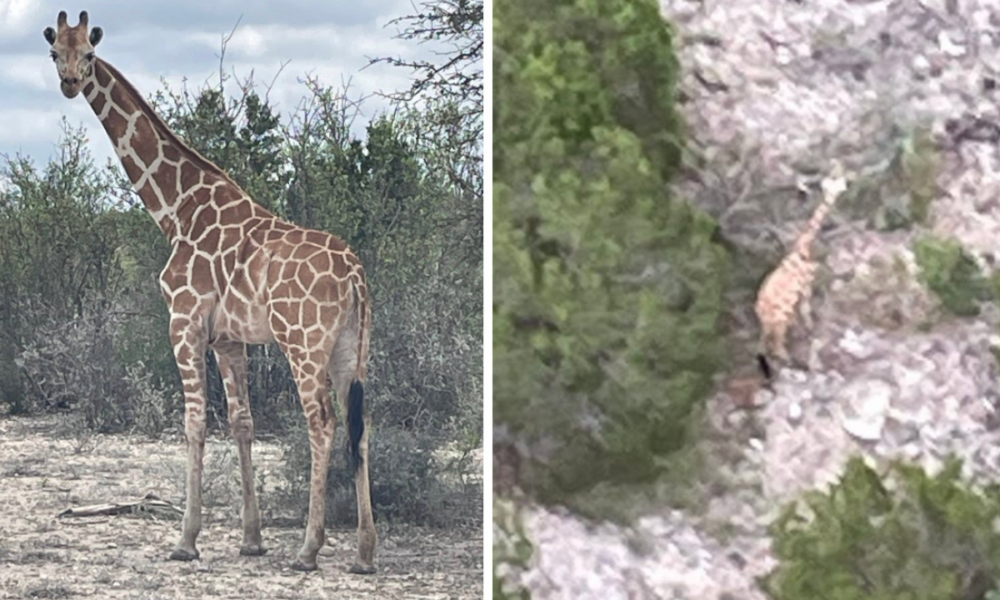 Facebook/Sheriff Nathan T. Johnson